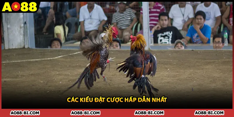 Các kiểu đặt cược hấp dẫn nhất