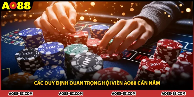 Các quy định quan trọng hội viên AO88 cần nắm