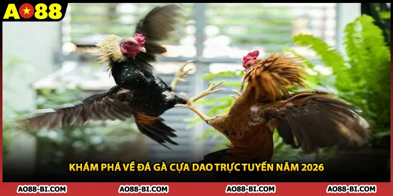 Khám phá về đá gà cựa dao trực tuyến năm 2026
