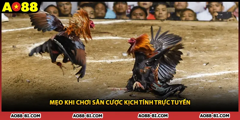 Mẹo khi chơi sân cược kịch tính trực tuyến