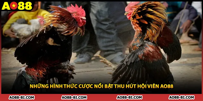 Những hình thức cược nổi bật thu hút hội viên AO88