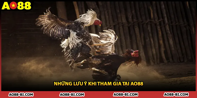 Những lưu ý khi tham gia tại AO88